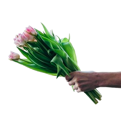 H1 freedom open landing page tech bro techbros campaigns marketing conversion agencyh1 sales strategy