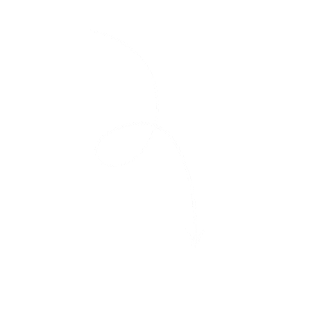 Freedom h1 banner marketing messaging global conversion